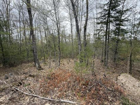 M R14 L 42 T M Wentworth Road Lebanon ME 04027