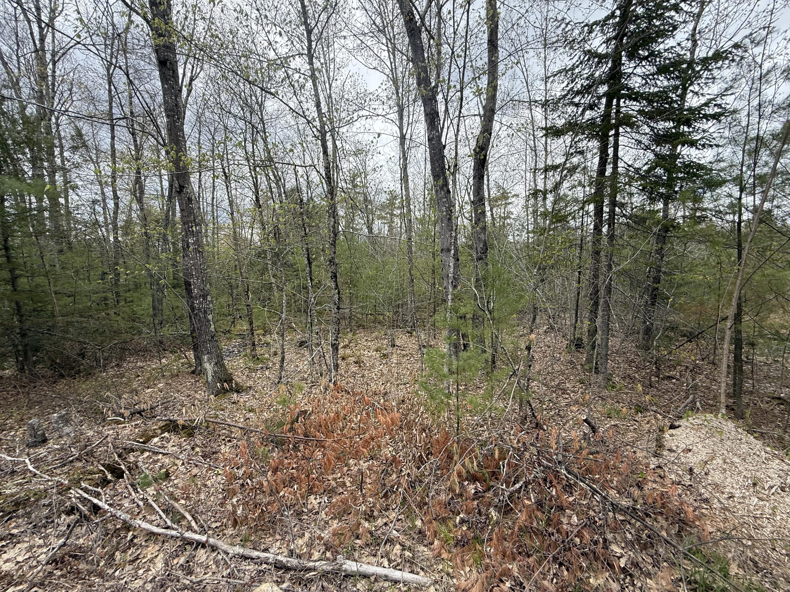 M R14 L 42 T M Wentworth Road Lebanon ME 04027