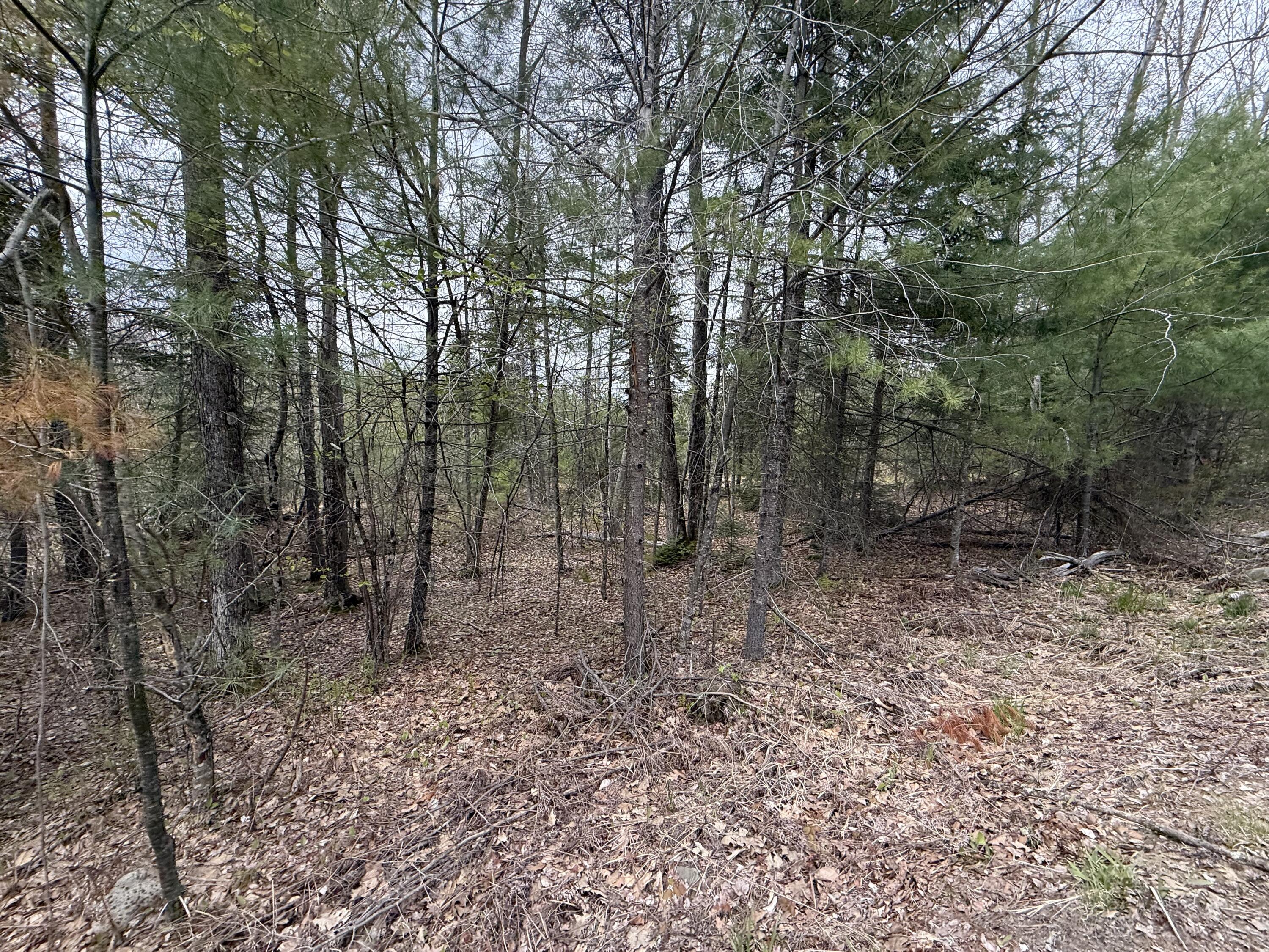 M R14 L 42 T M Wentworth Road Lebanon ME 04027
