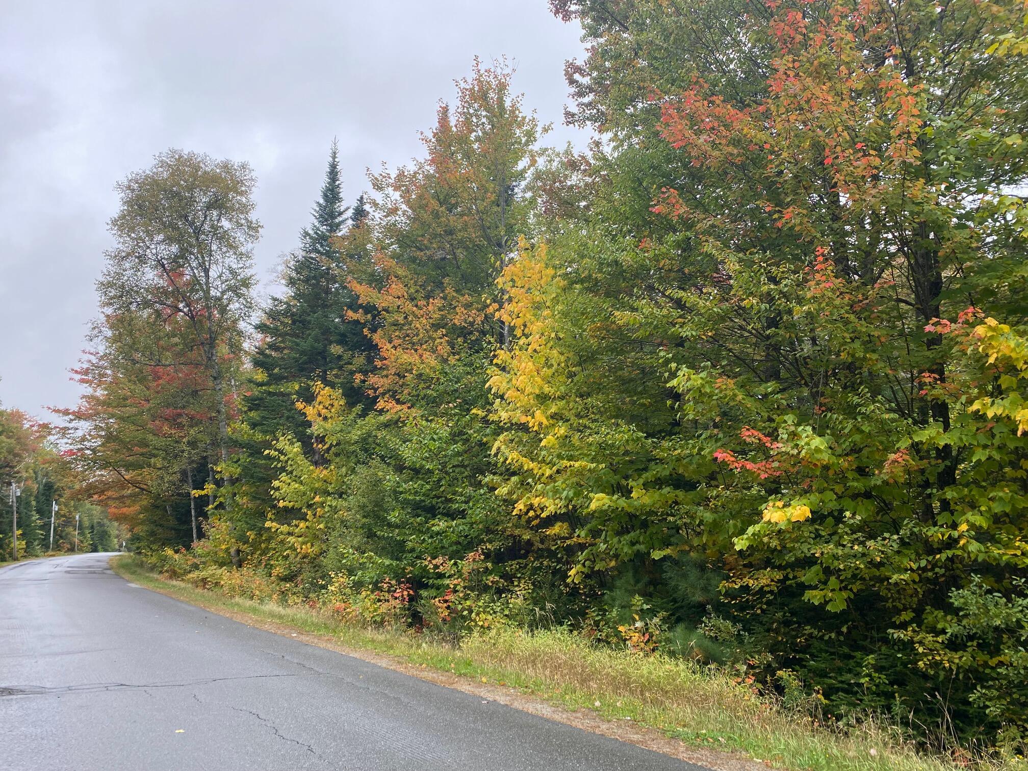 8-33 Scammon Road Greenville ME 04441