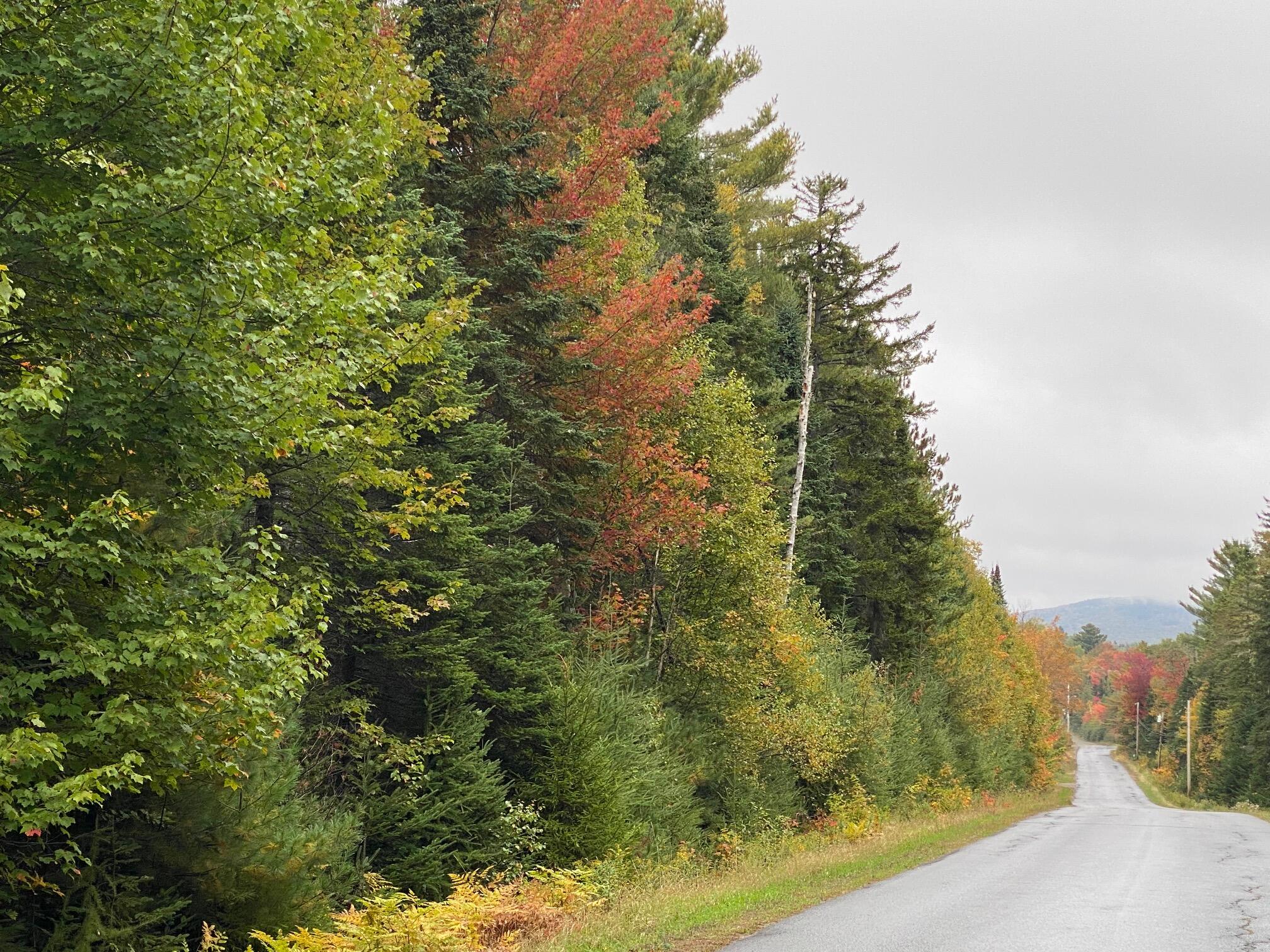 8-33 Scammon Road Greenville ME 04441