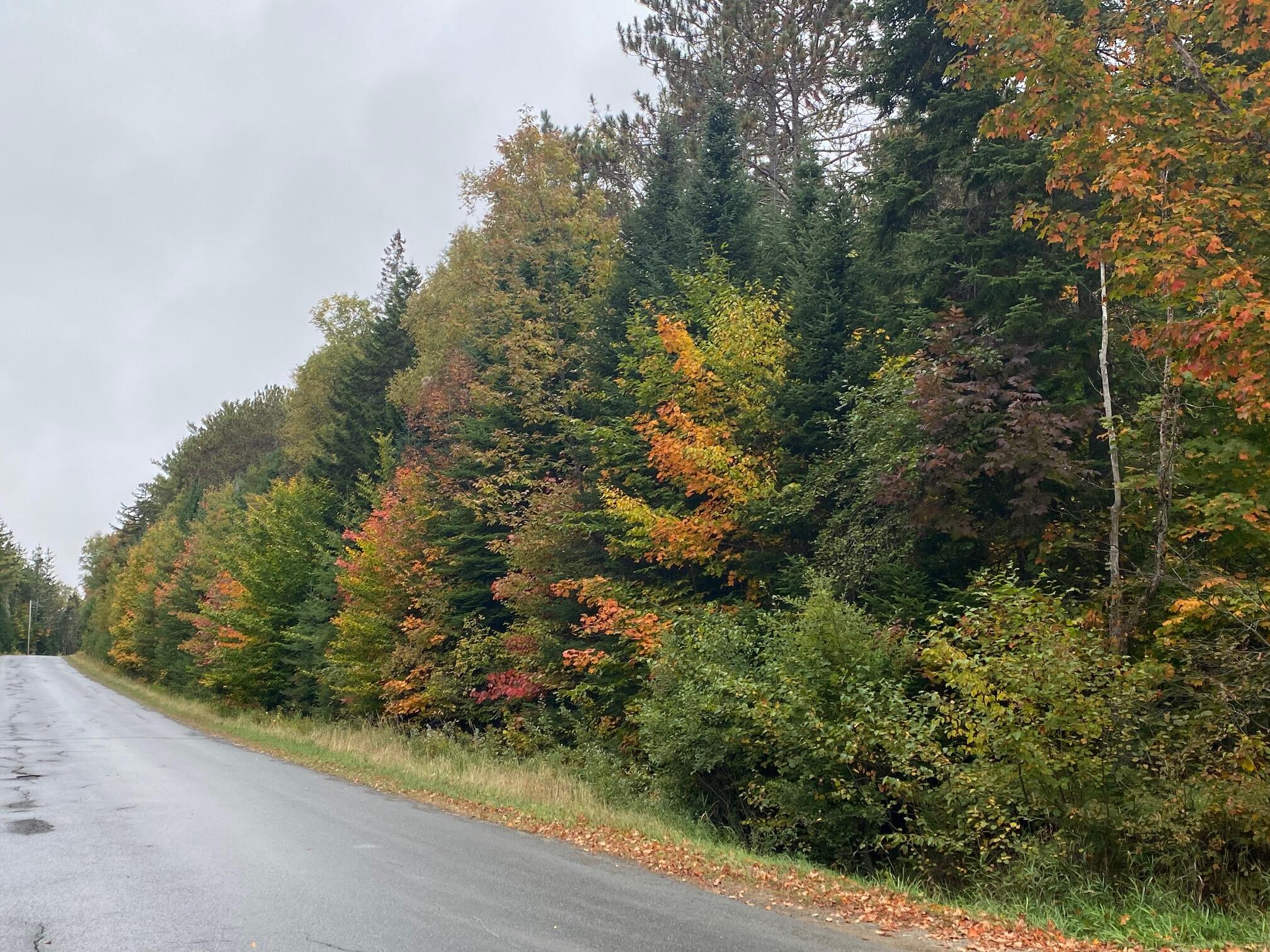 8-33 Scammon Road Greenville ME 04441