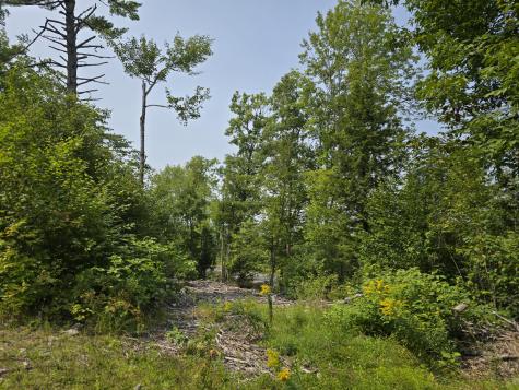 Lot7 Bear Brook Subdivision Sebec ME 04481