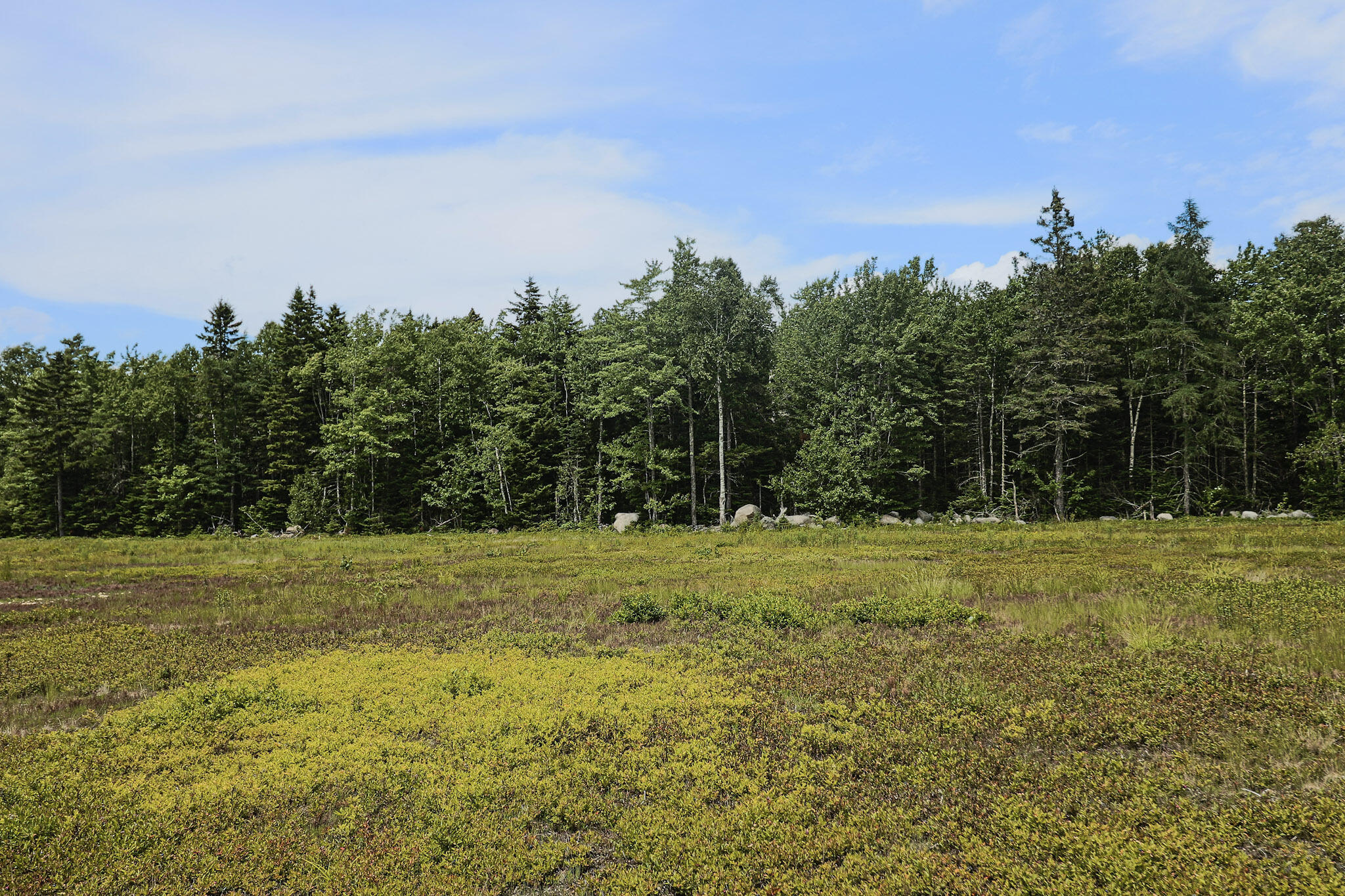 MAP13LOT9 Martins Ridge Road Franklin ME 04634