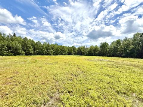 MAP13LOT9 Martins Ridge Road Franklin ME 04634