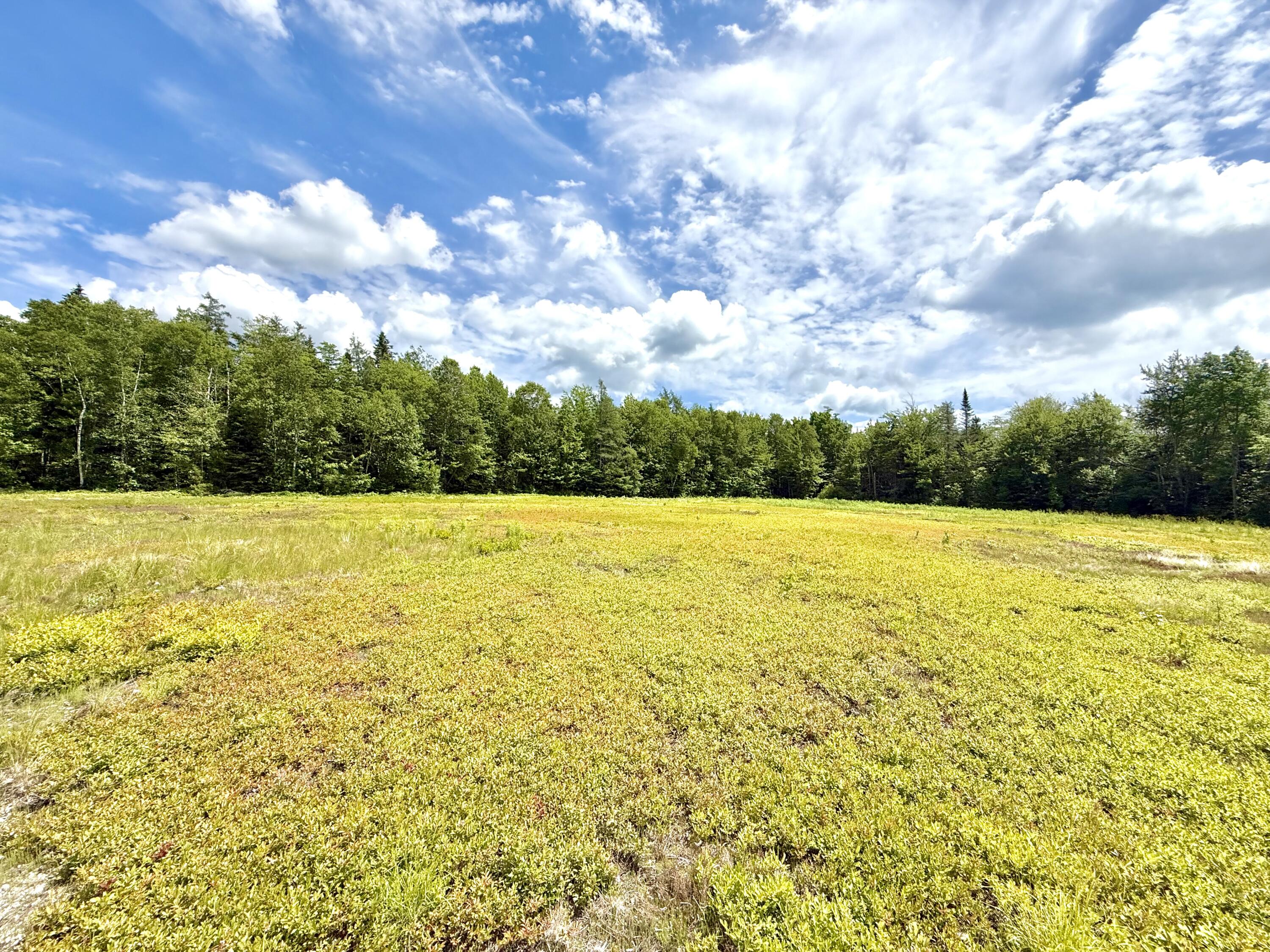 MAP13LOT9 Martins Ridge Road Franklin ME 04634