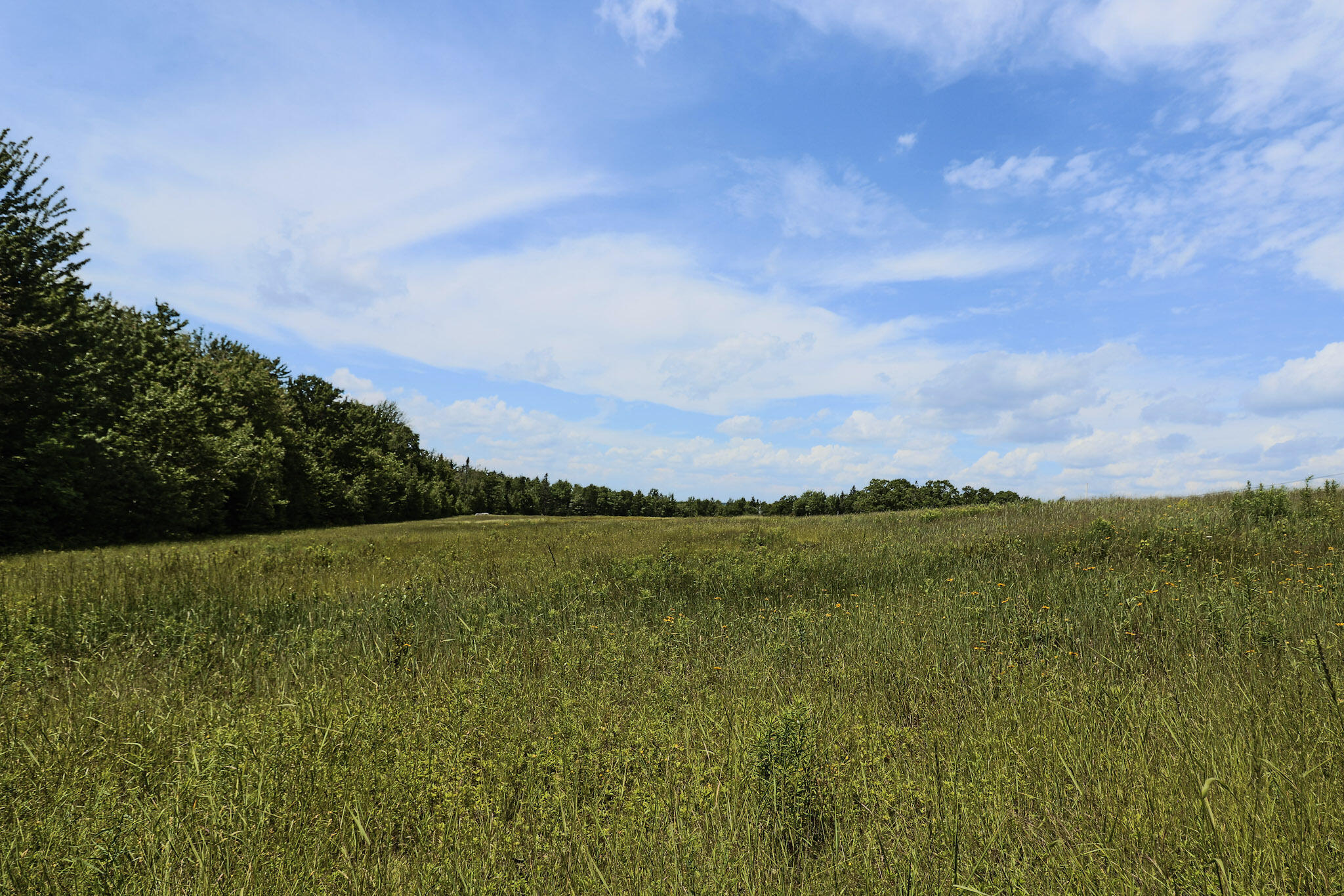 MAP13LOT9 Martins Ridge Road Franklin ME 04634