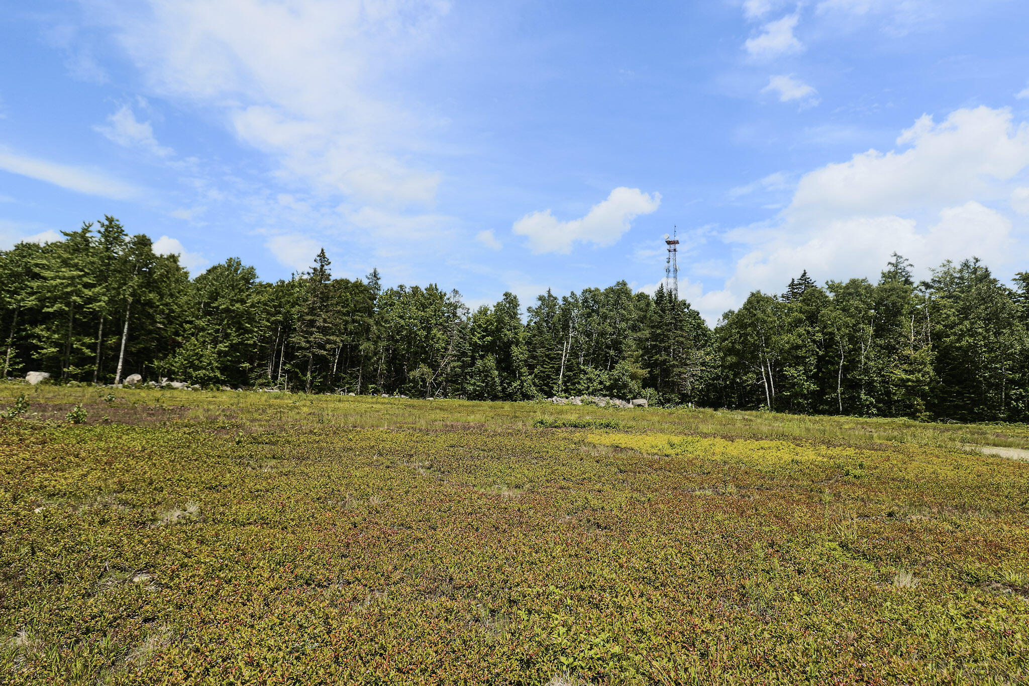 MAP13LOT9 Martins Ridge Road Franklin ME 04634