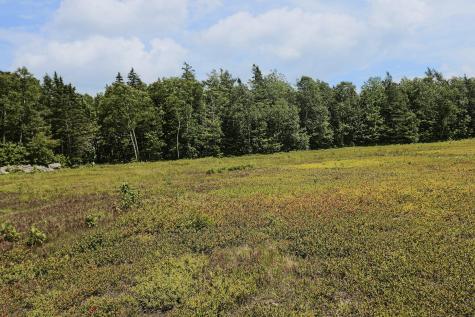 MAP13LOT9 Martins Ridge Road Franklin ME 04634