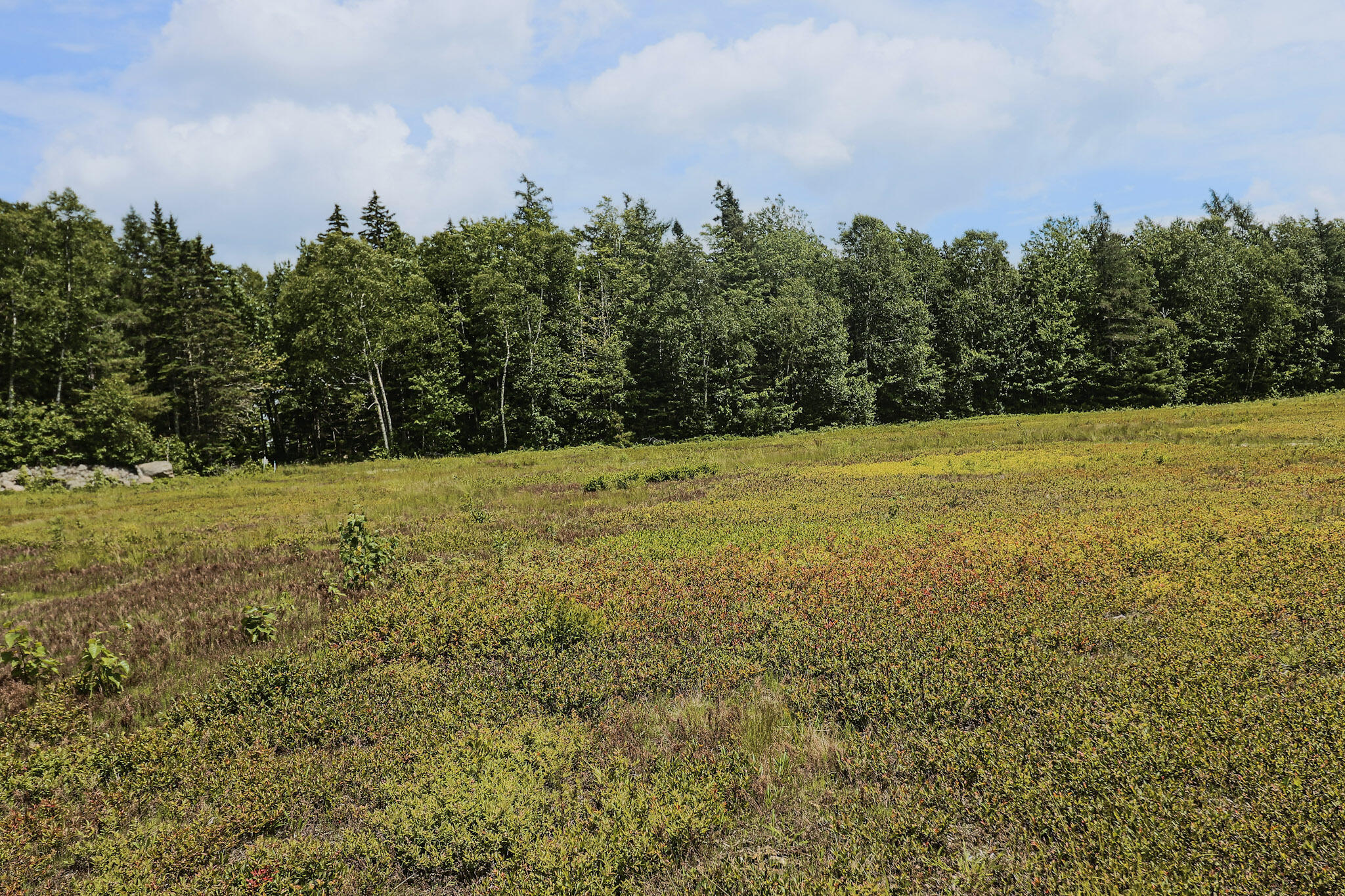 MAP13LOT9 Martins Ridge Road Franklin ME 04634