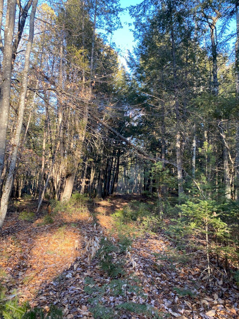 P/o M2 L31 Walker Road Madison ME 04950