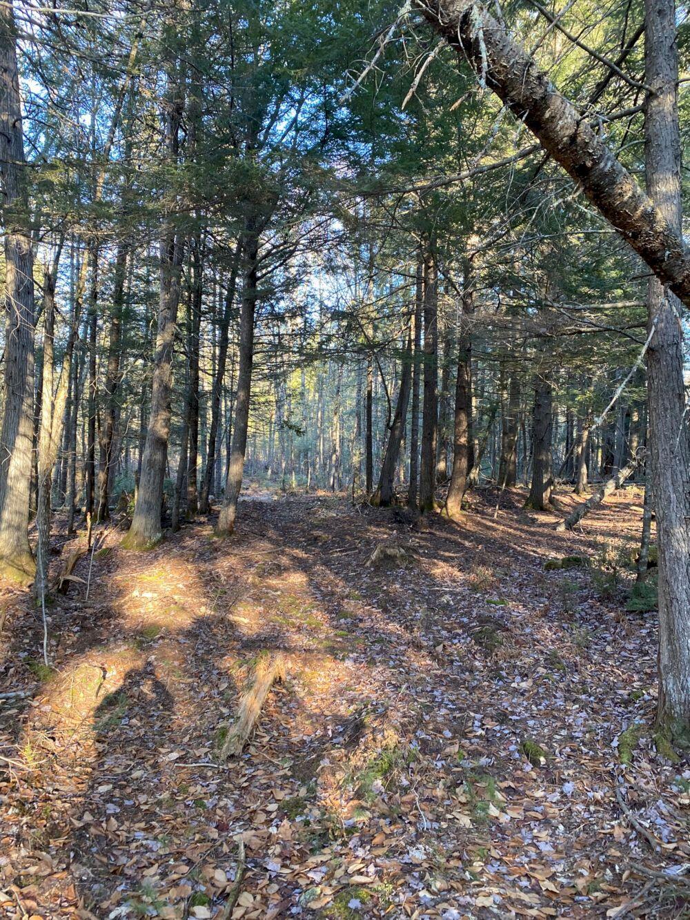 P/o M2 L31 Walker Road Madison ME 04950