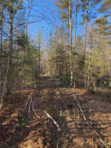 P/o M2 L31 Walker Road Madison ME 04950