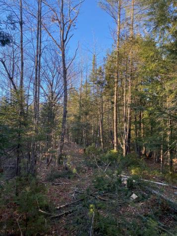 P/o M2 L31 Walker Road Madison ME 04950