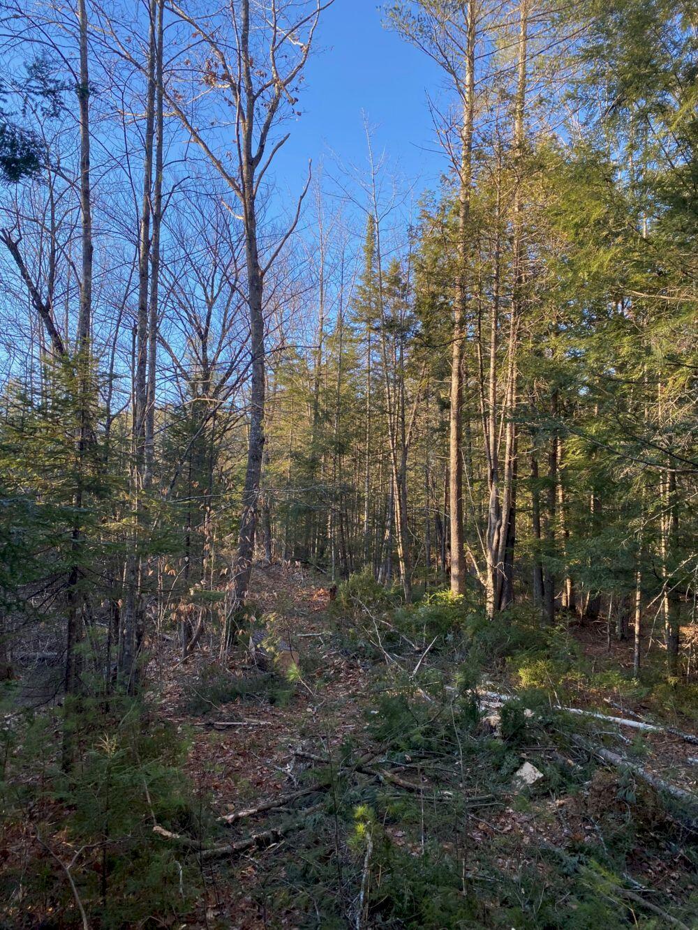 P/o M2 L31 Walker Road Madison ME 04950
