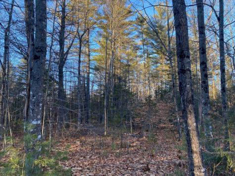 P/o M2 L31 Walker Road Madison ME 04950