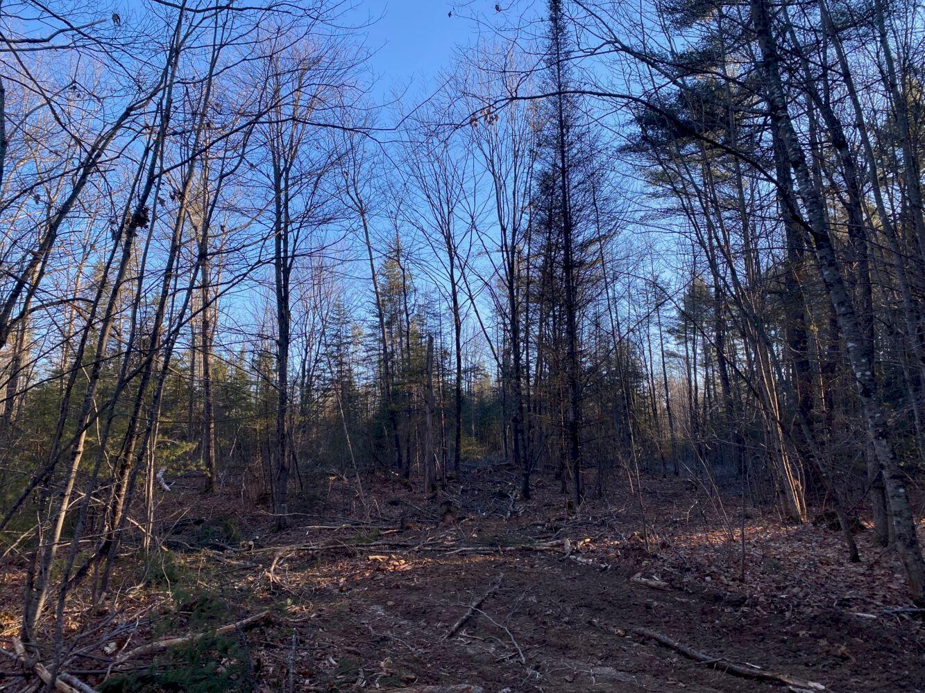 P/o M2 L31 Walker Road Madison ME 04950