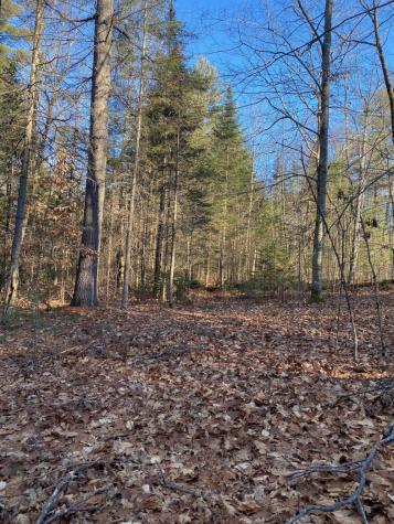 P/o M2 L31 Walker Road Madison ME 04950