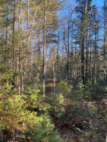 P/o M2 L31 Walker Road Madison ME 04950