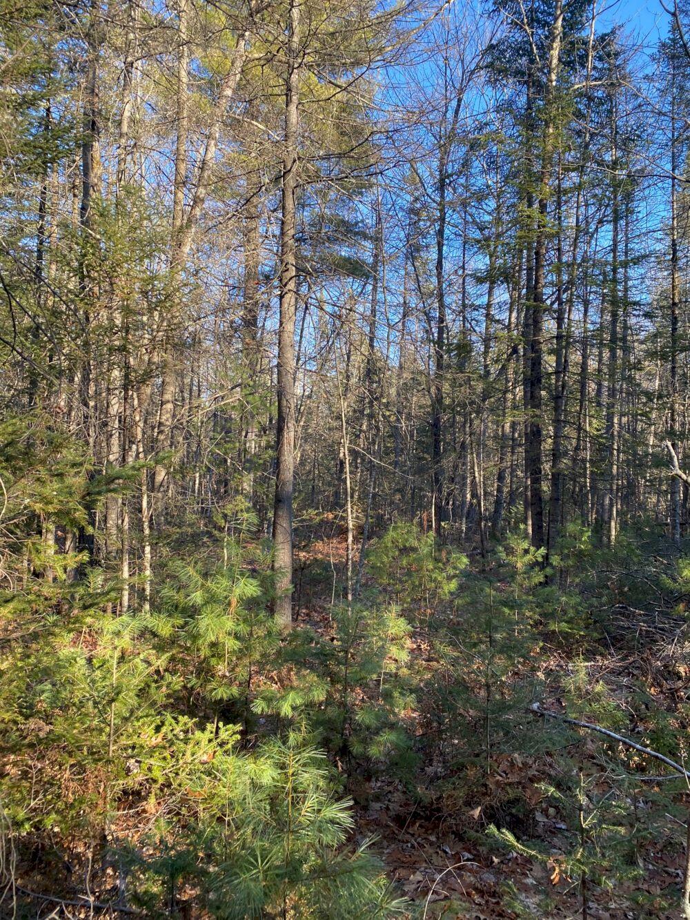 P/o M2 L31 Walker Road Madison ME 04950