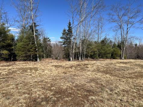 0 Holmes Drive Bucksport ME 04416