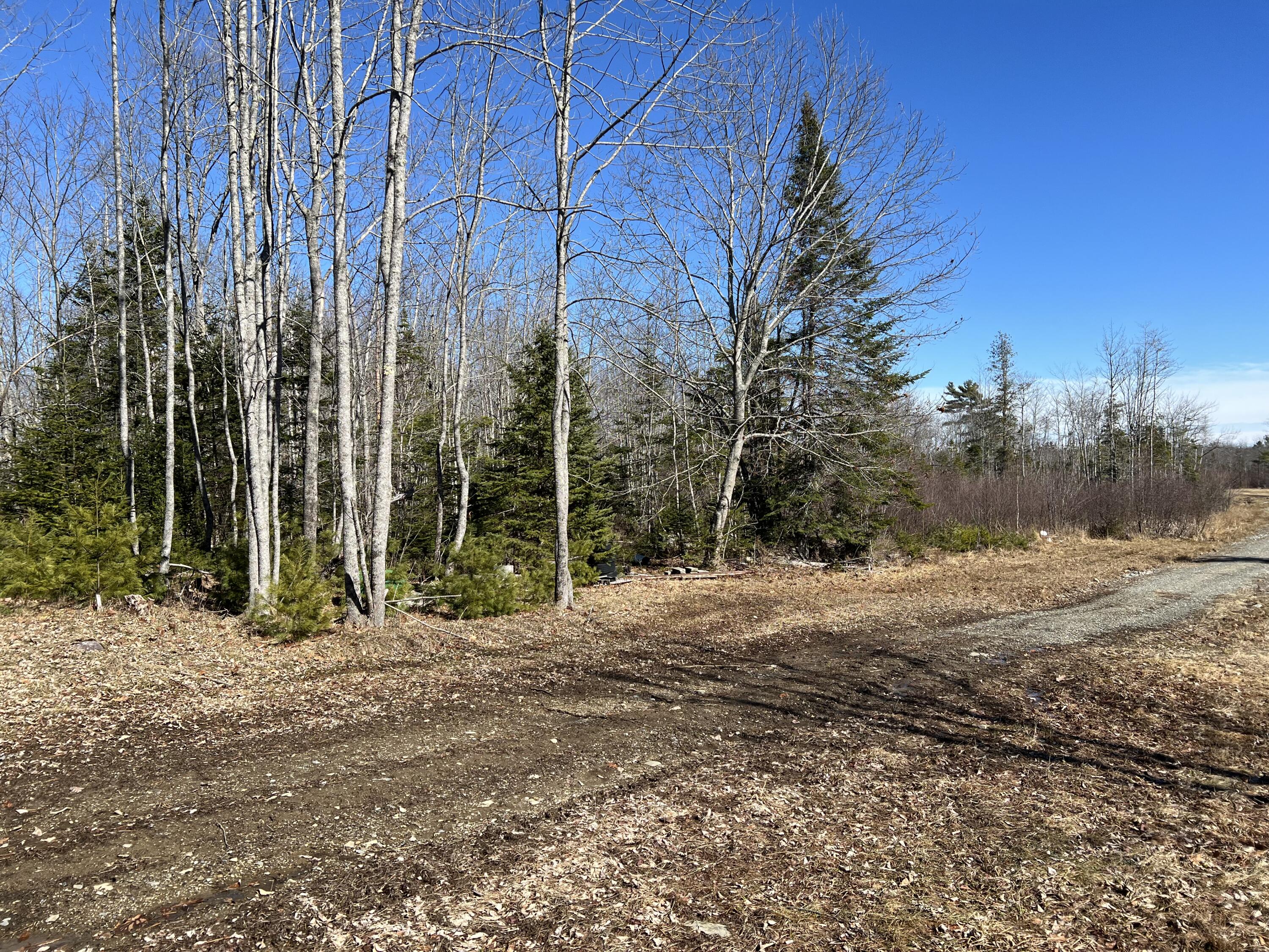 0 Holmes Drive Bucksport ME 04416