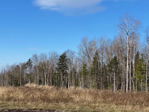 8 Tumbledown Lane Greenville ME 04441