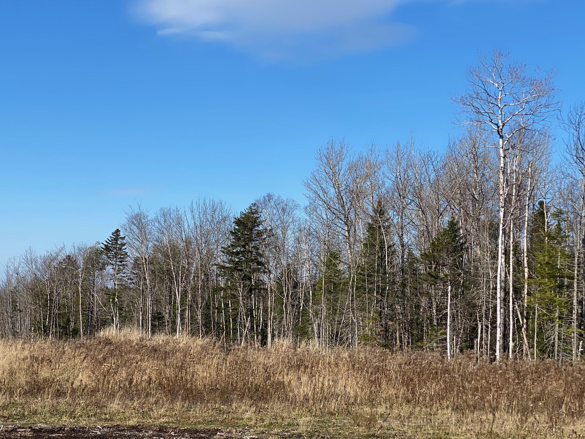 8 Tumbledown Lane Greenville ME 04441
