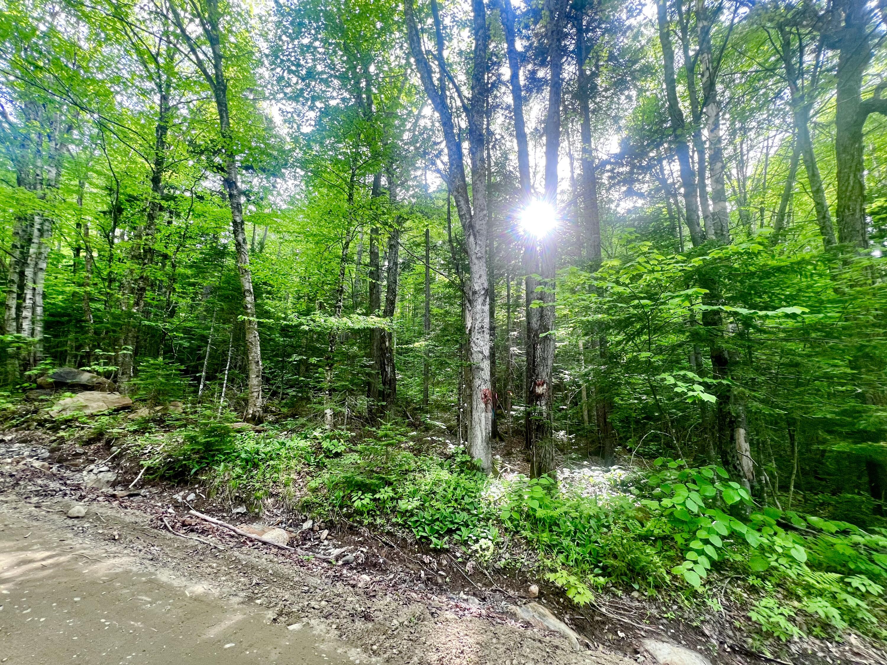 M17 L13,34 Edelheid Road Sandy River Plt ME 04970