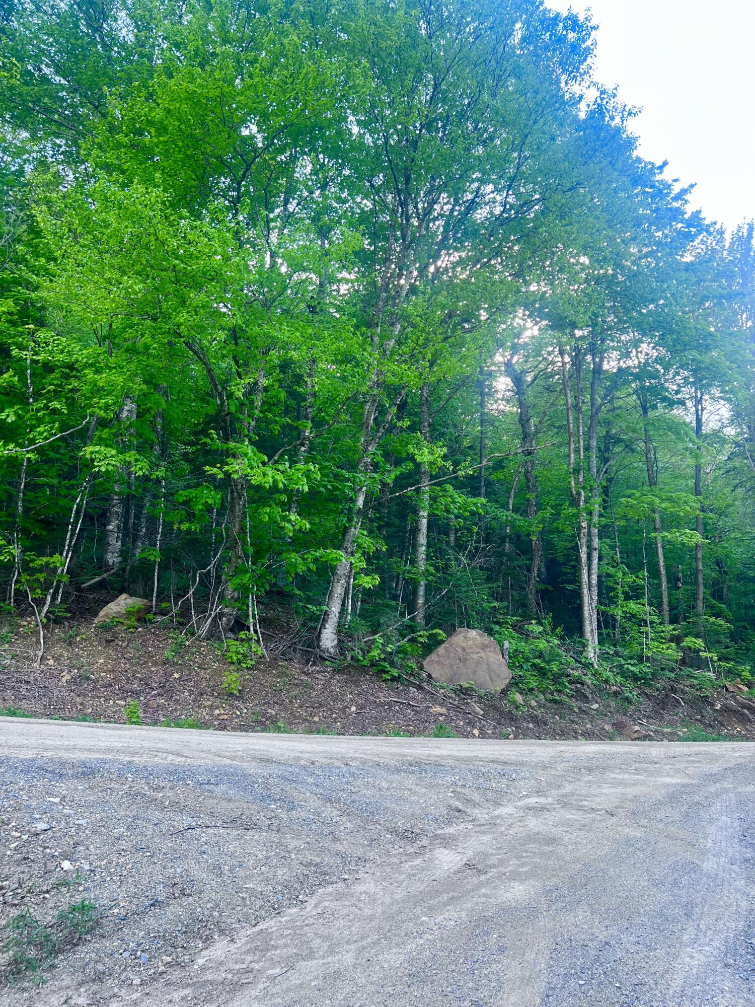 M17 L13,34 Edelheid Road Sandy River Plt ME 04970