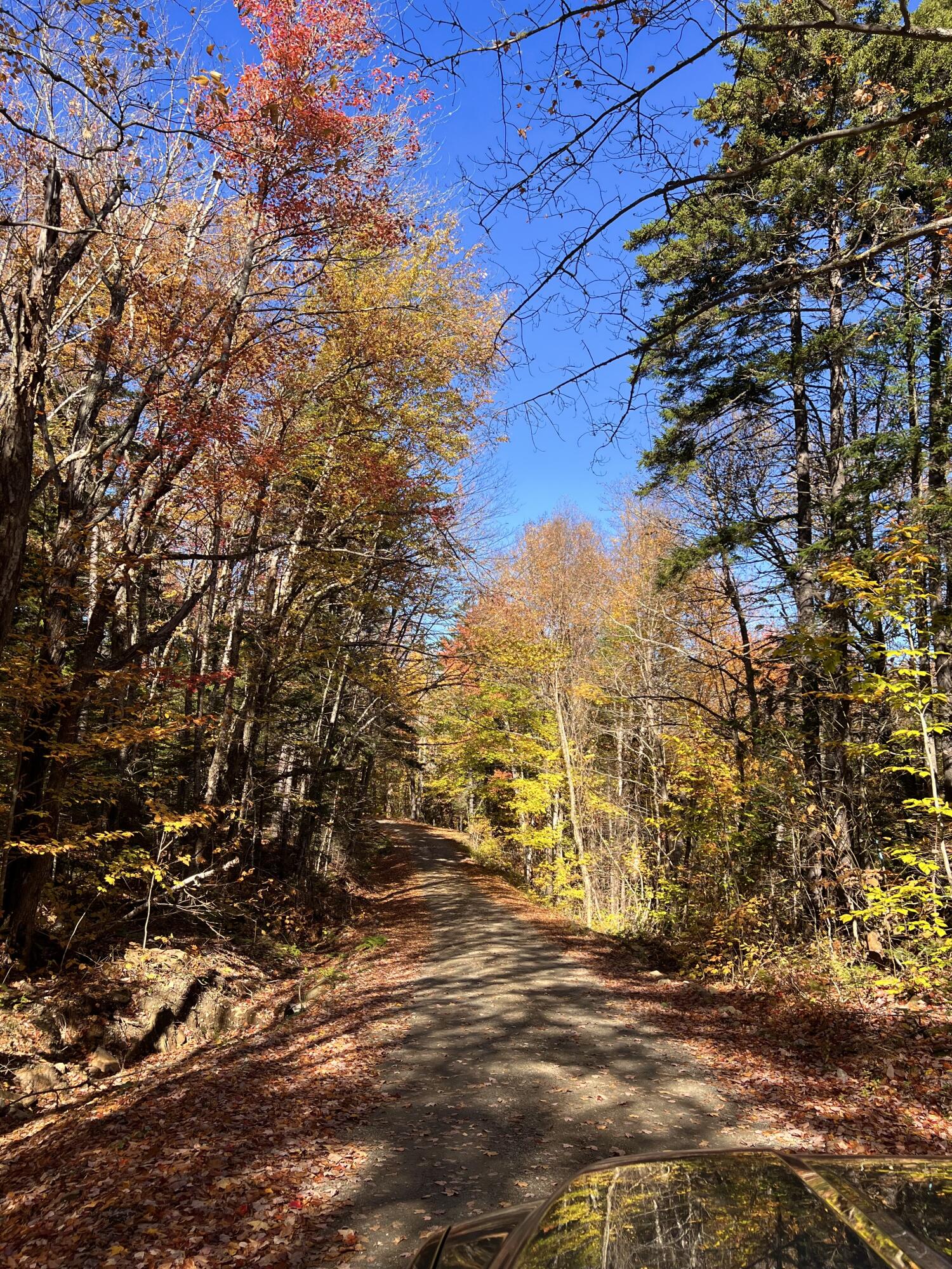 M17 L13,34 Edelheid Road Sandy River Plt ME 04970