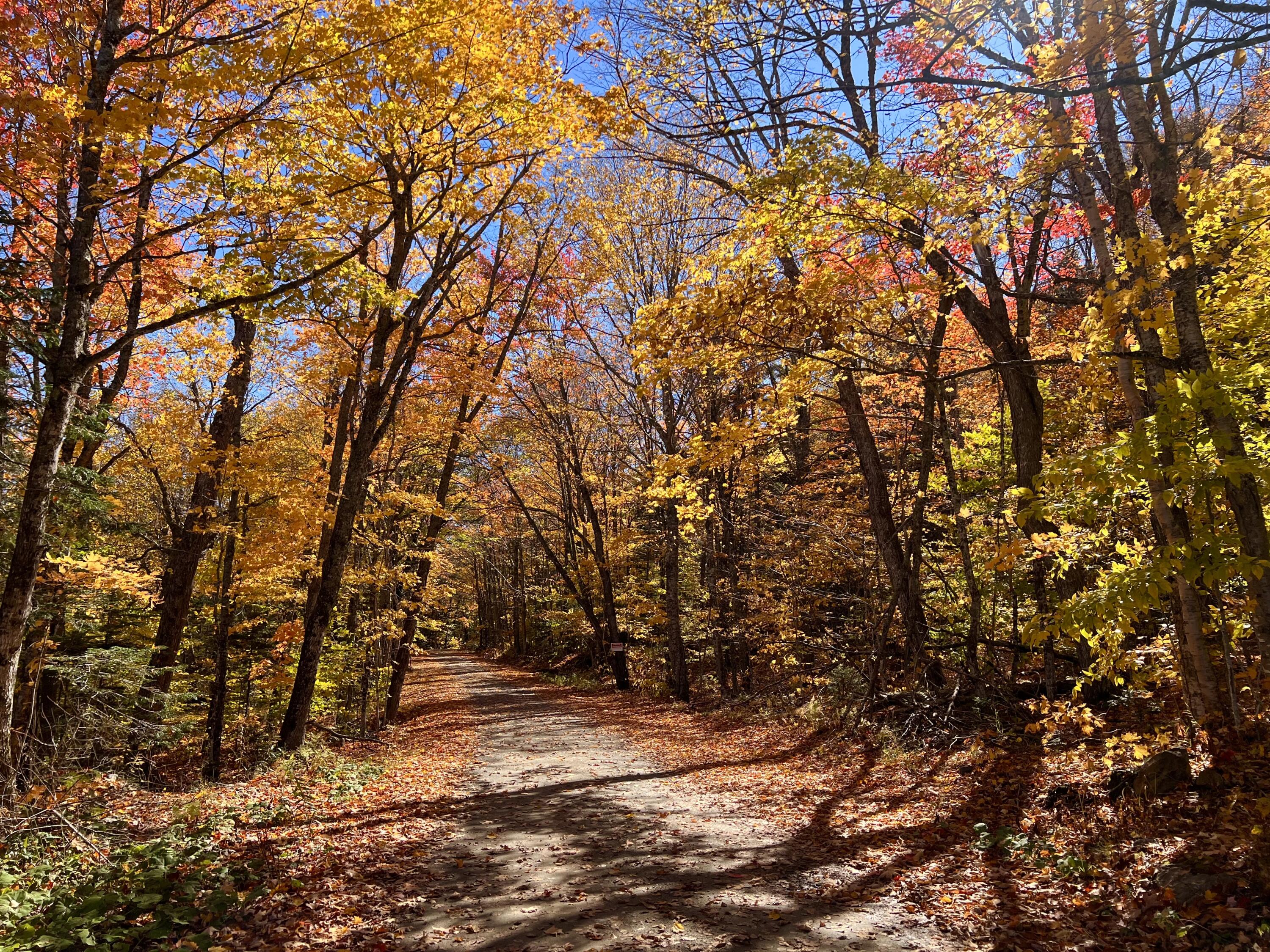 M17 L13,34 Edelheid Road Sandy River Plt ME 04970