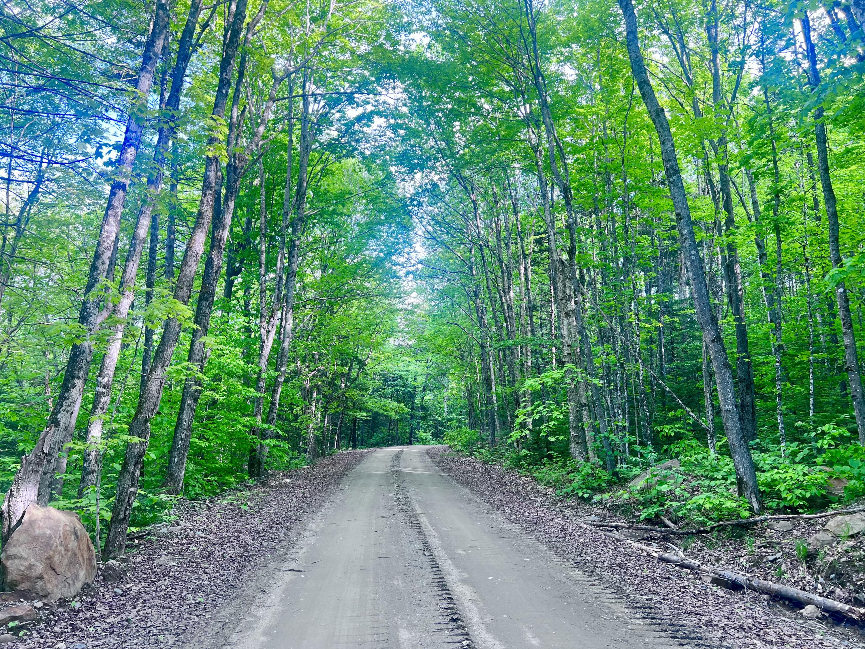 M17 L13,34 Edelheid Road Sandy River Plt ME 04970