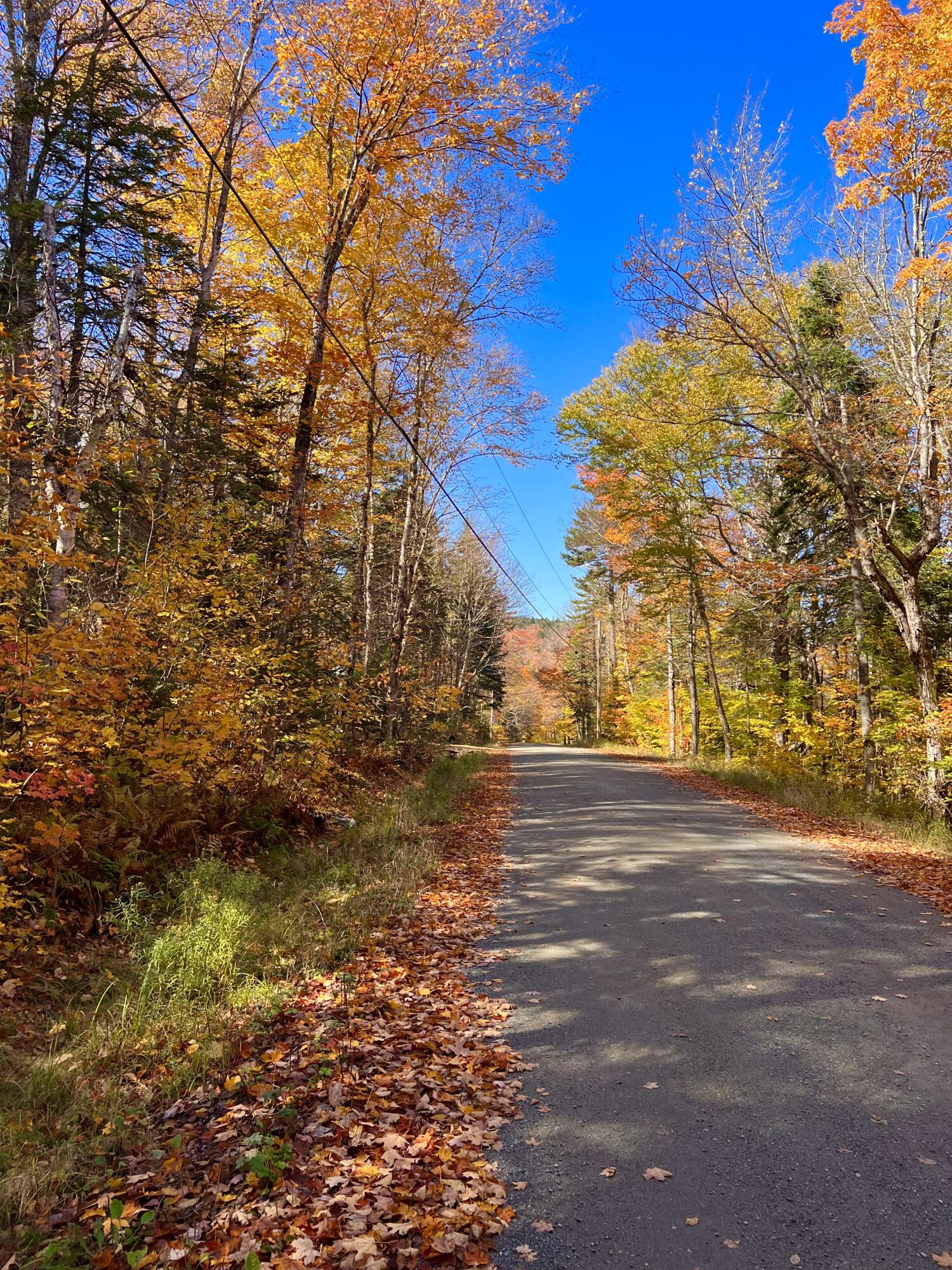 M17 L13,34 Edelheid Road Sandy River Plt ME 04970