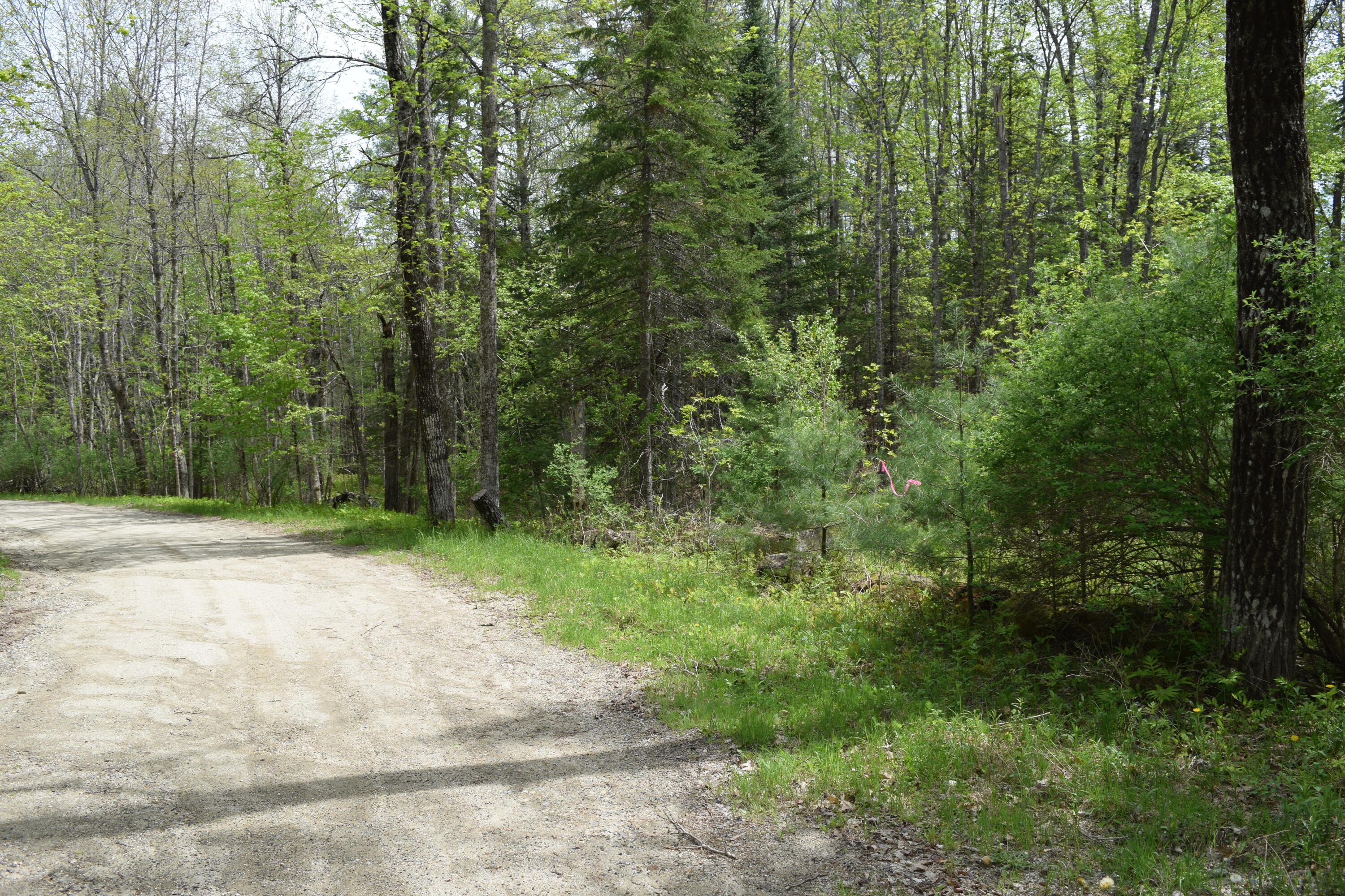 Lot #30 Potter Road Lisbon ME 04252