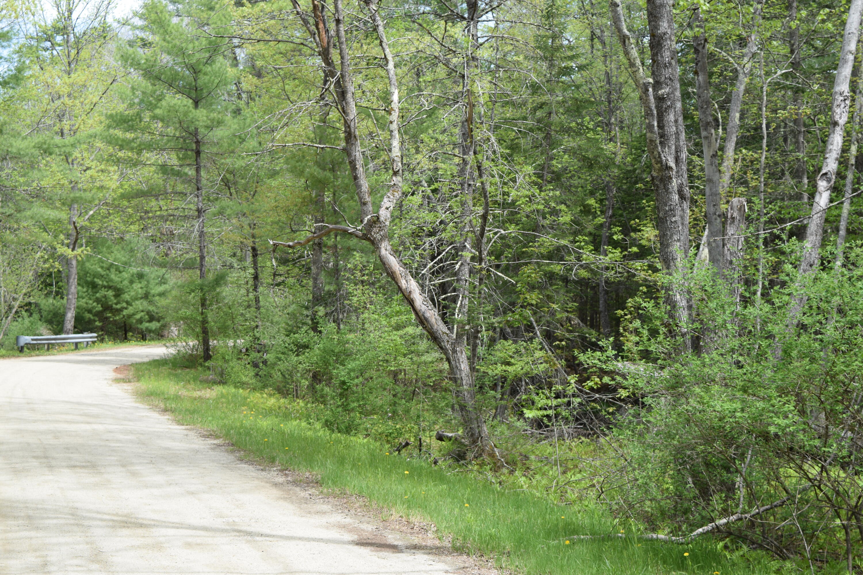 Lot #30 Potter Road Lisbon ME 04252