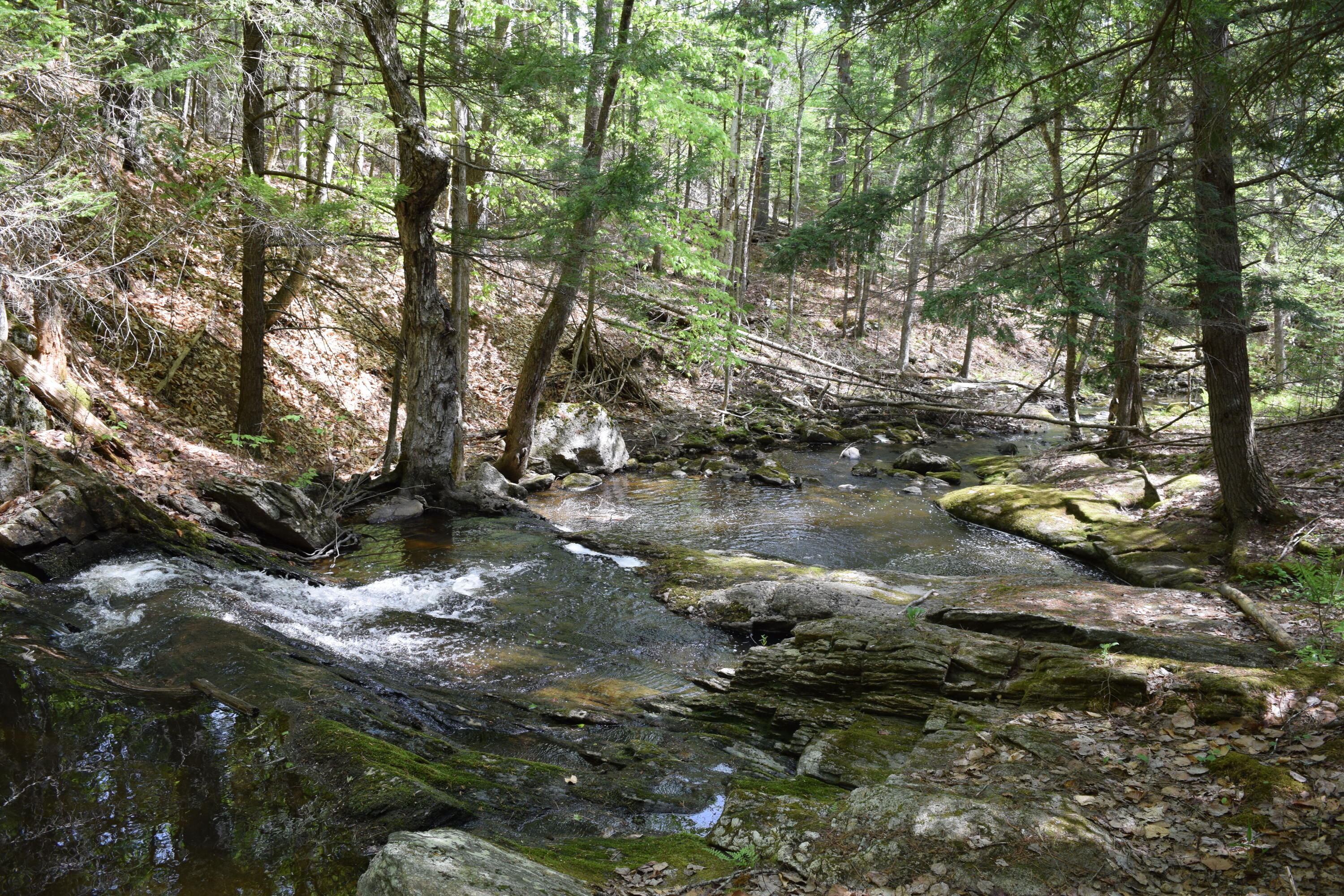 Lot #30 Potter Road Lisbon ME 04252
