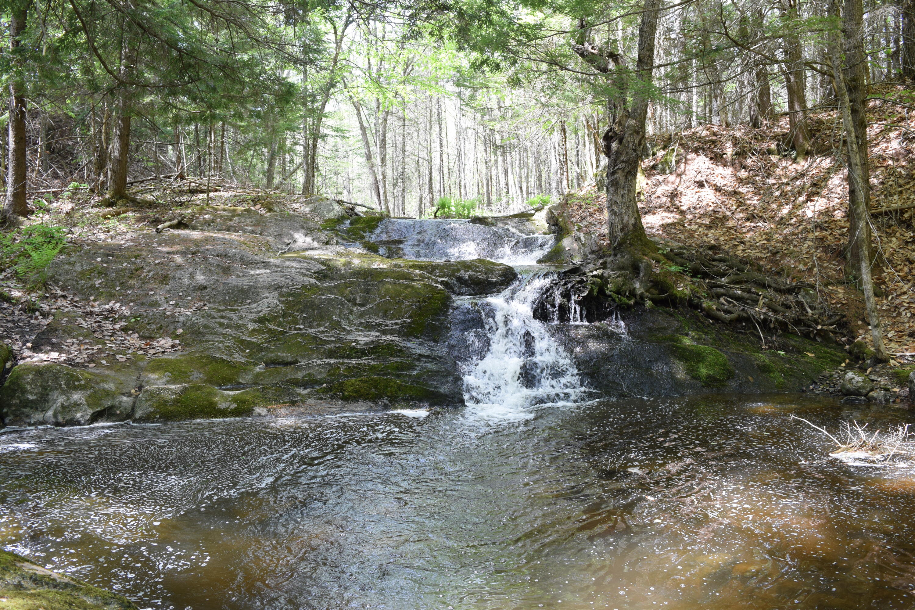 Lot #30 Potter Road Lisbon ME 04252
