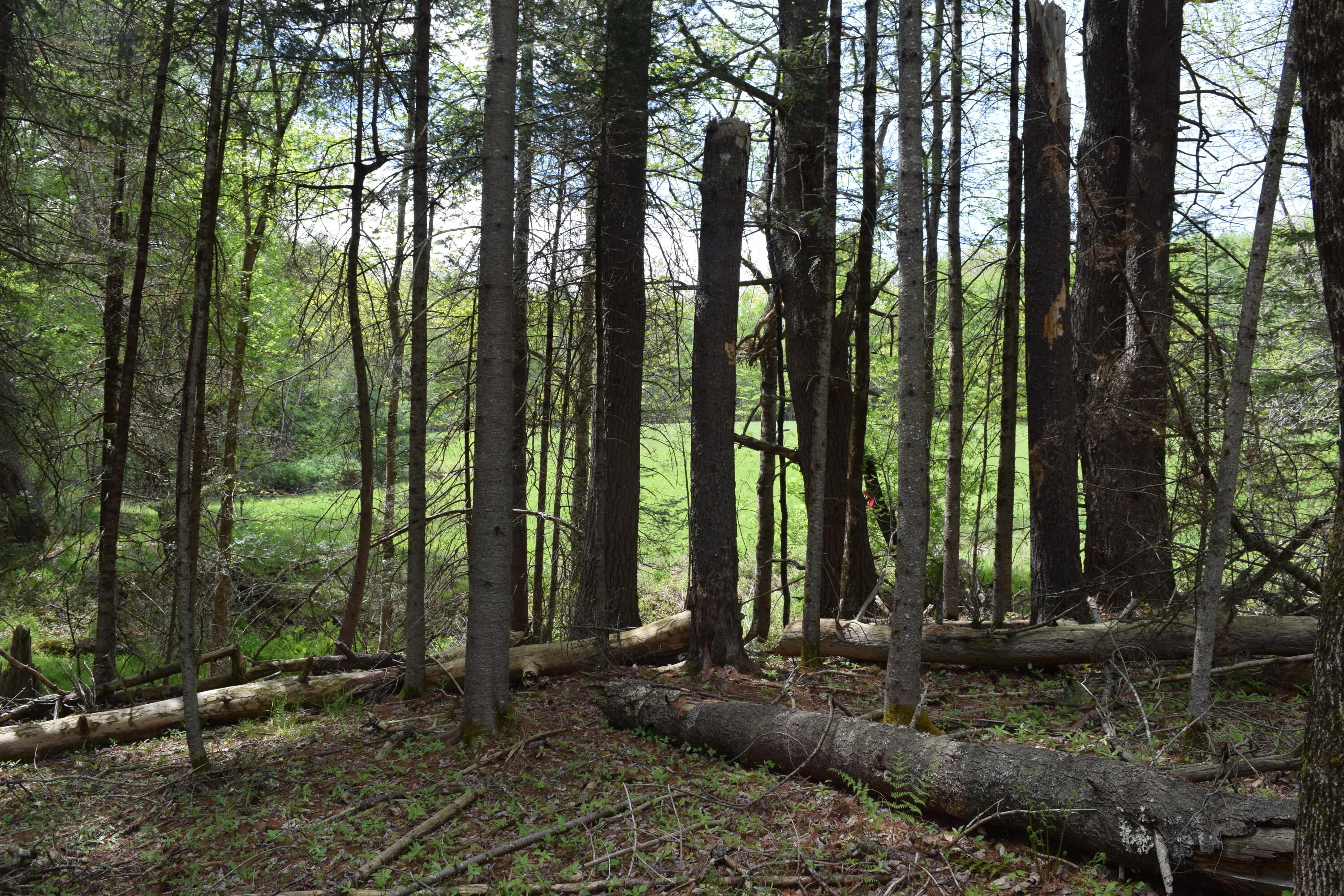 Lot #30 Potter Road Lisbon ME 04252