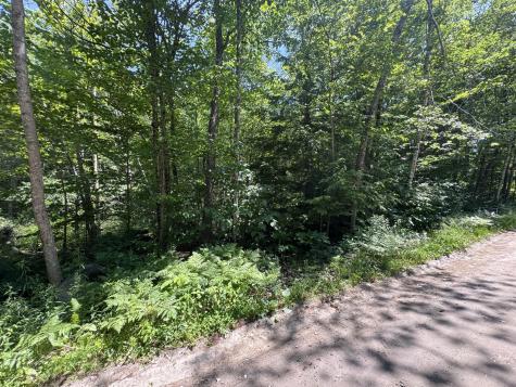 Lot 19 Thomas Pond Shore Road Casco ME 04015