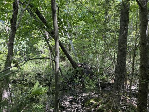 Lot 19 Thomas Pond Shore Road Casco ME 04015