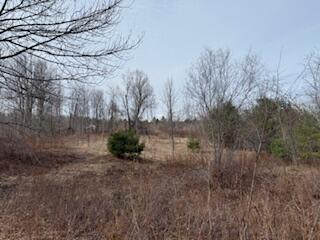 25 Lake School Road Jay ME 04239