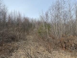 25 Lake School Road Jay ME 04239