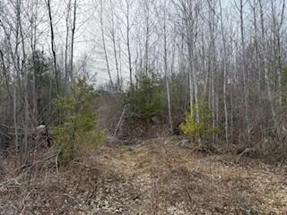 25 Lake School Road Jay ME 04239