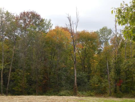 48 Hart Street Newport ME 04953