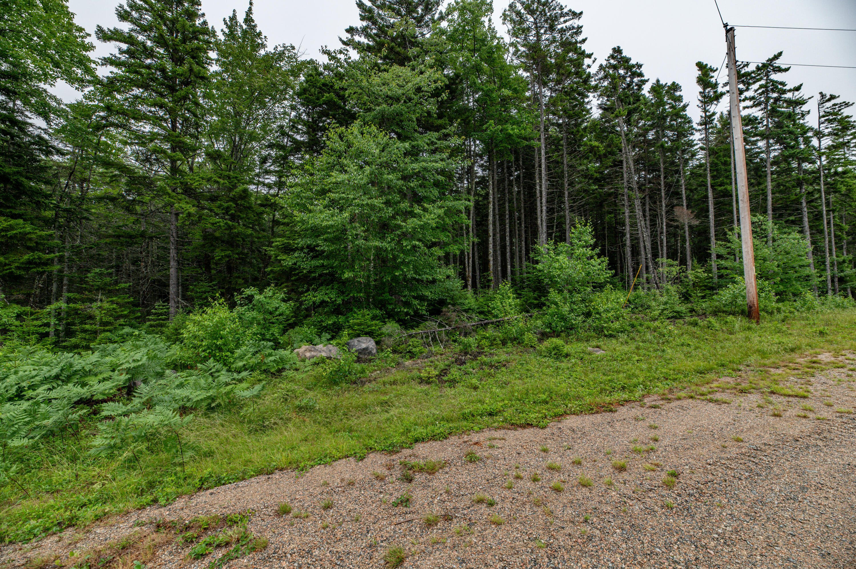 Lot 40 Estates Road Steuben ME 04680