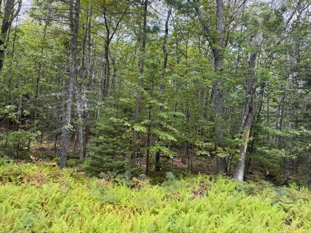 M4 L12.30b Mccarty Cove Road Westport Island ME 04578