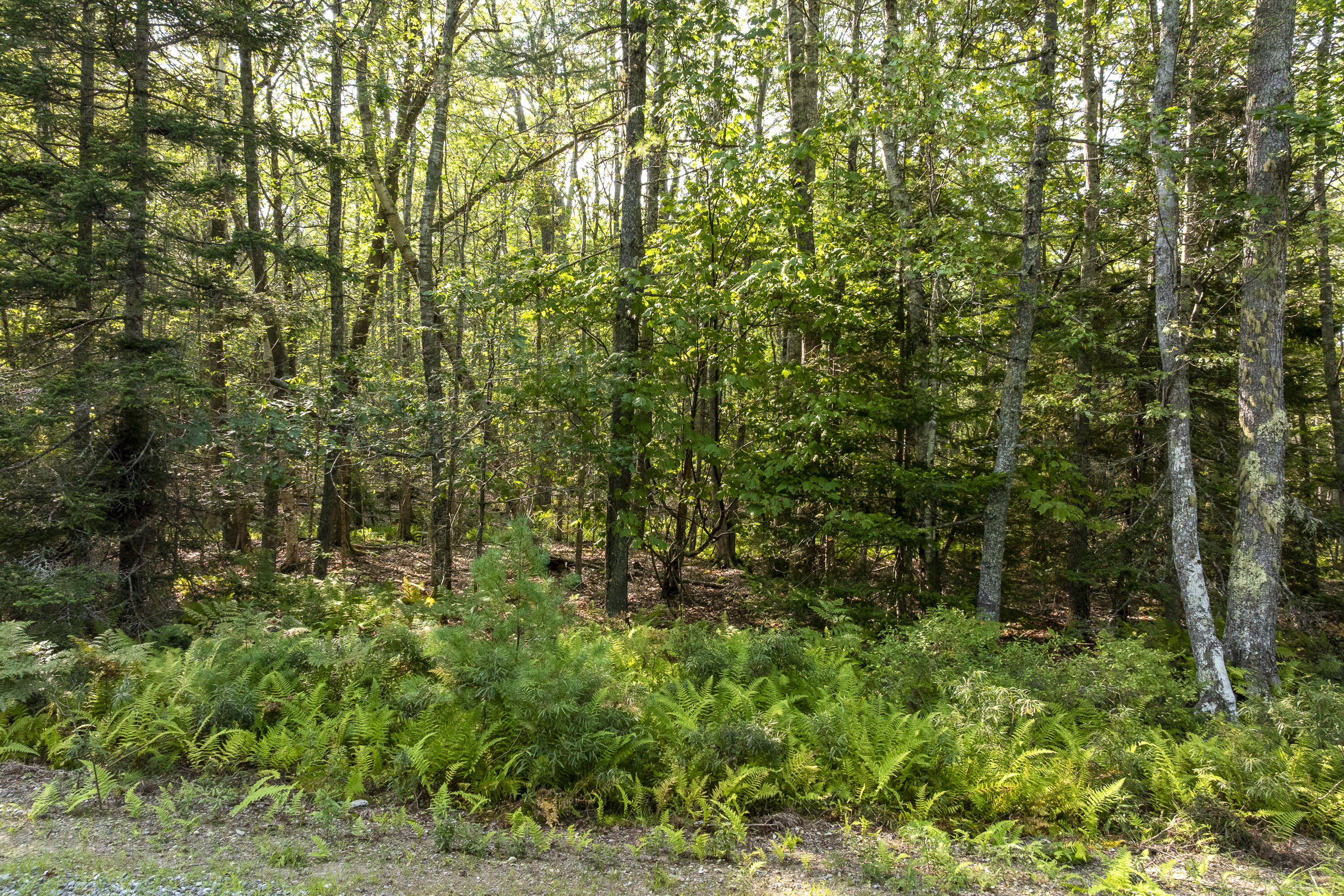 M4 L12.30b Mccarty Cove Road Westport Island ME 04578