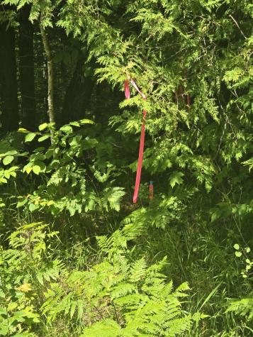 00 Oliver Hill Road Garland ME 04939