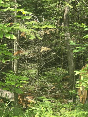 00 Oliver Hill Road Garland ME 04939